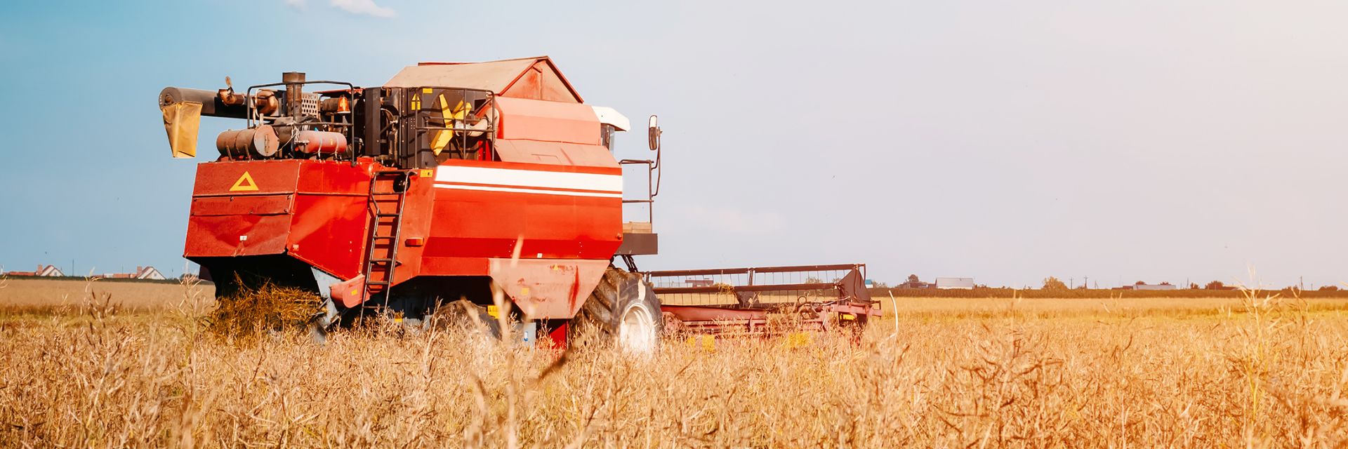 Featured image of post Crédito de carbono e a sustentabilidade no agronegócio